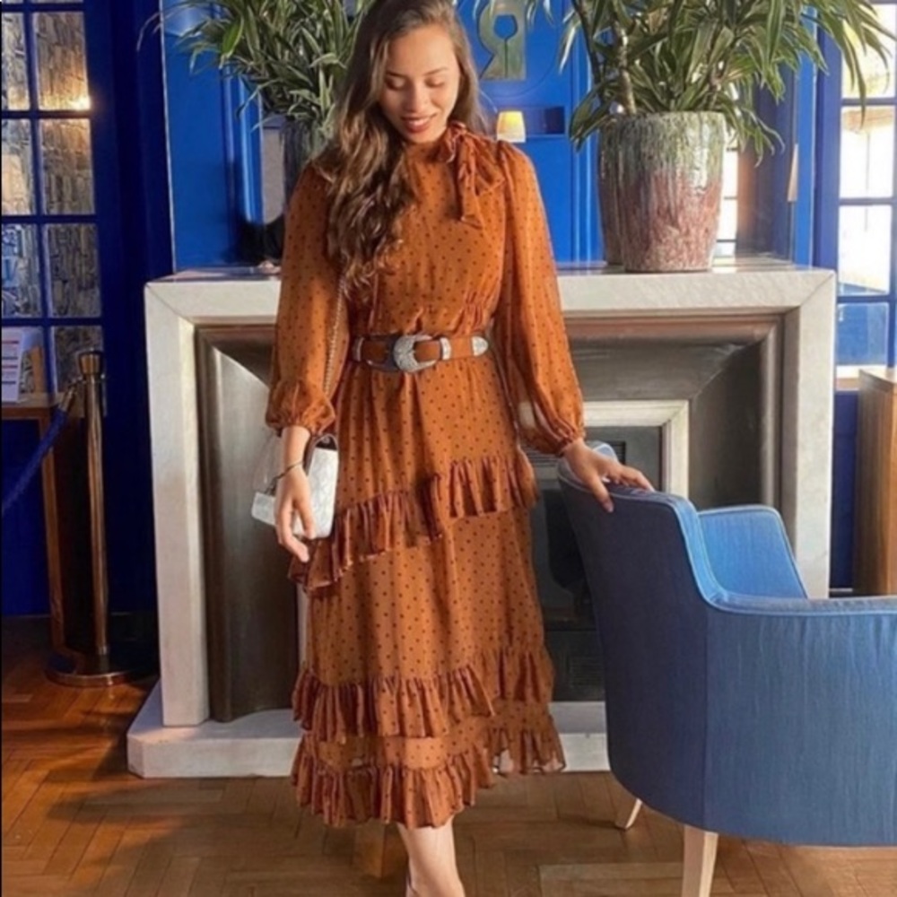 Zara brown polka dot maxi dress - Picture 3 of 7
